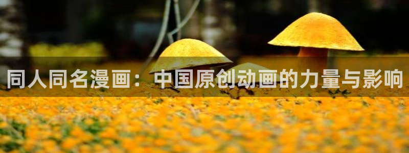 拷贝漫画网址：同人同名漫画：中国原创动画的力量与影响