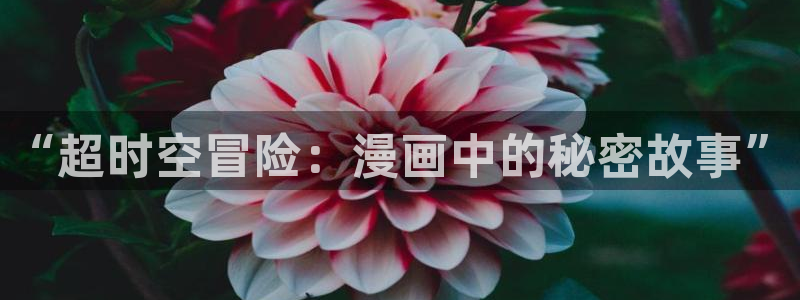 拷贝漫画是哪里的：“超时空冒险：漫画中的秘密故事”