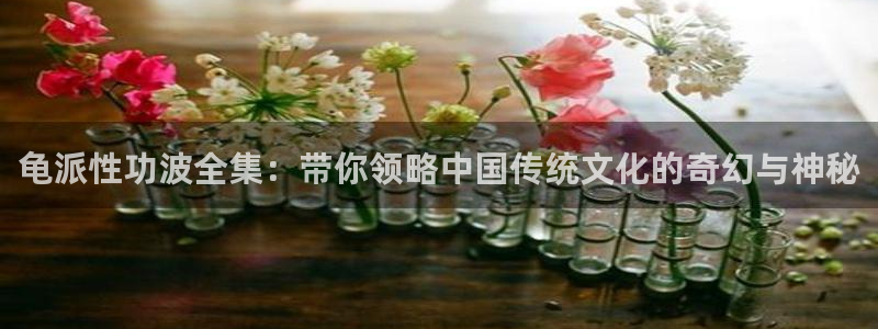 拷贝漫画苹果：龟派性功波全集：带你领略中国传统文化的奇幻与神秘