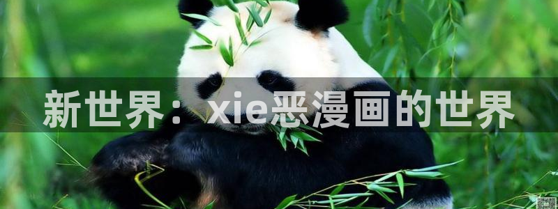 拷贝漫画注册不了：新世界：xie恶漫画的世界